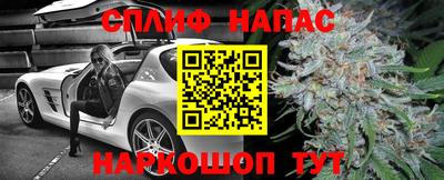 ПСИЛОЦИБИНОВЫЕ ГРИБЫ Кингисепп